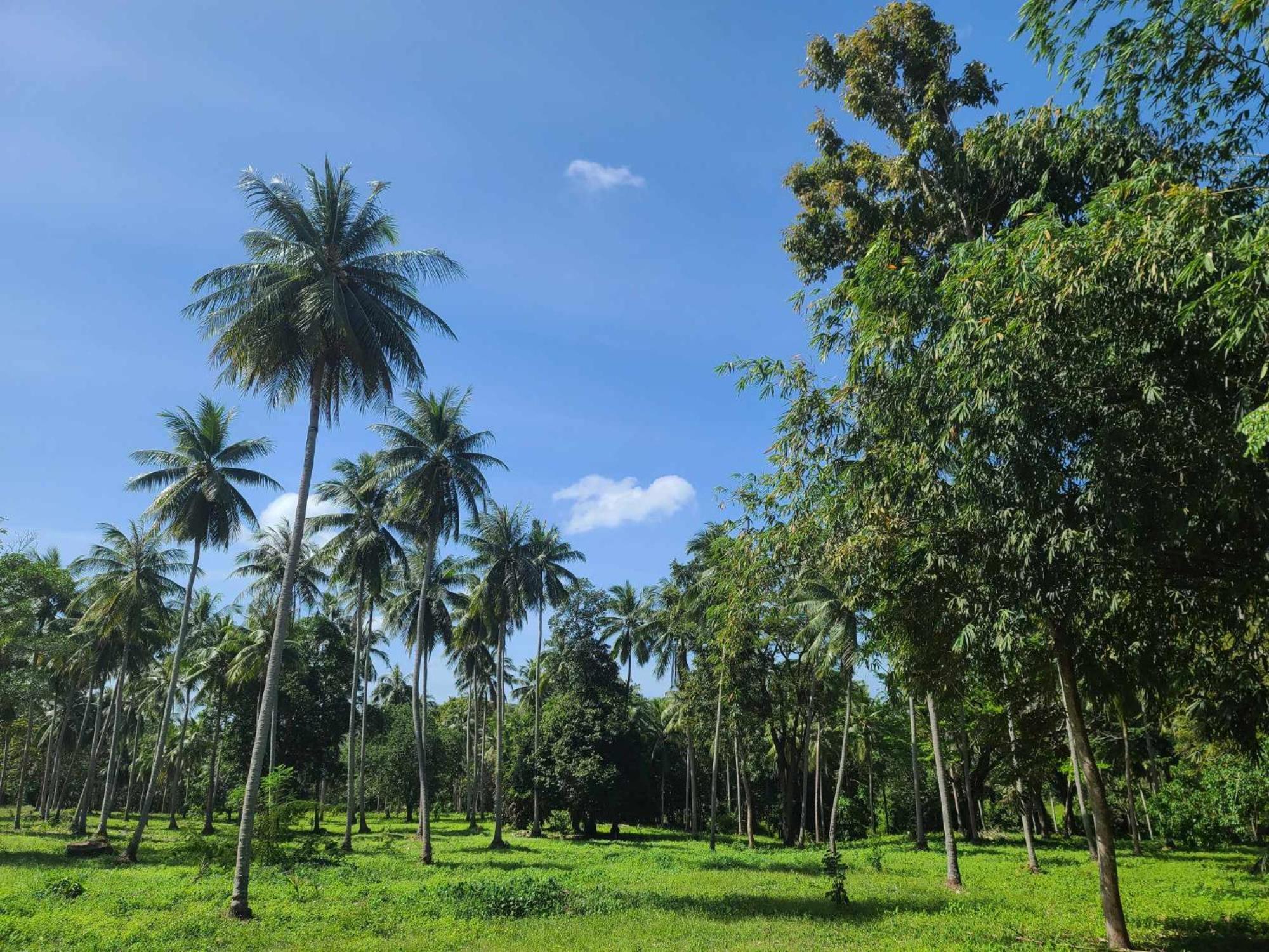 The Secret Garden Homestay Koh Yao Yai Ko Yao Eksteriør bilde